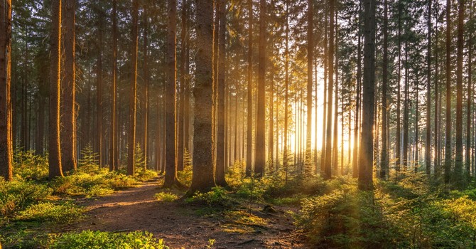 Couple and Family Therapy