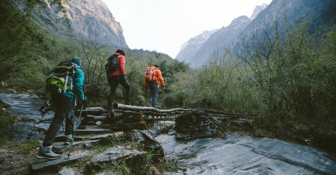 Couple and Family Therapy